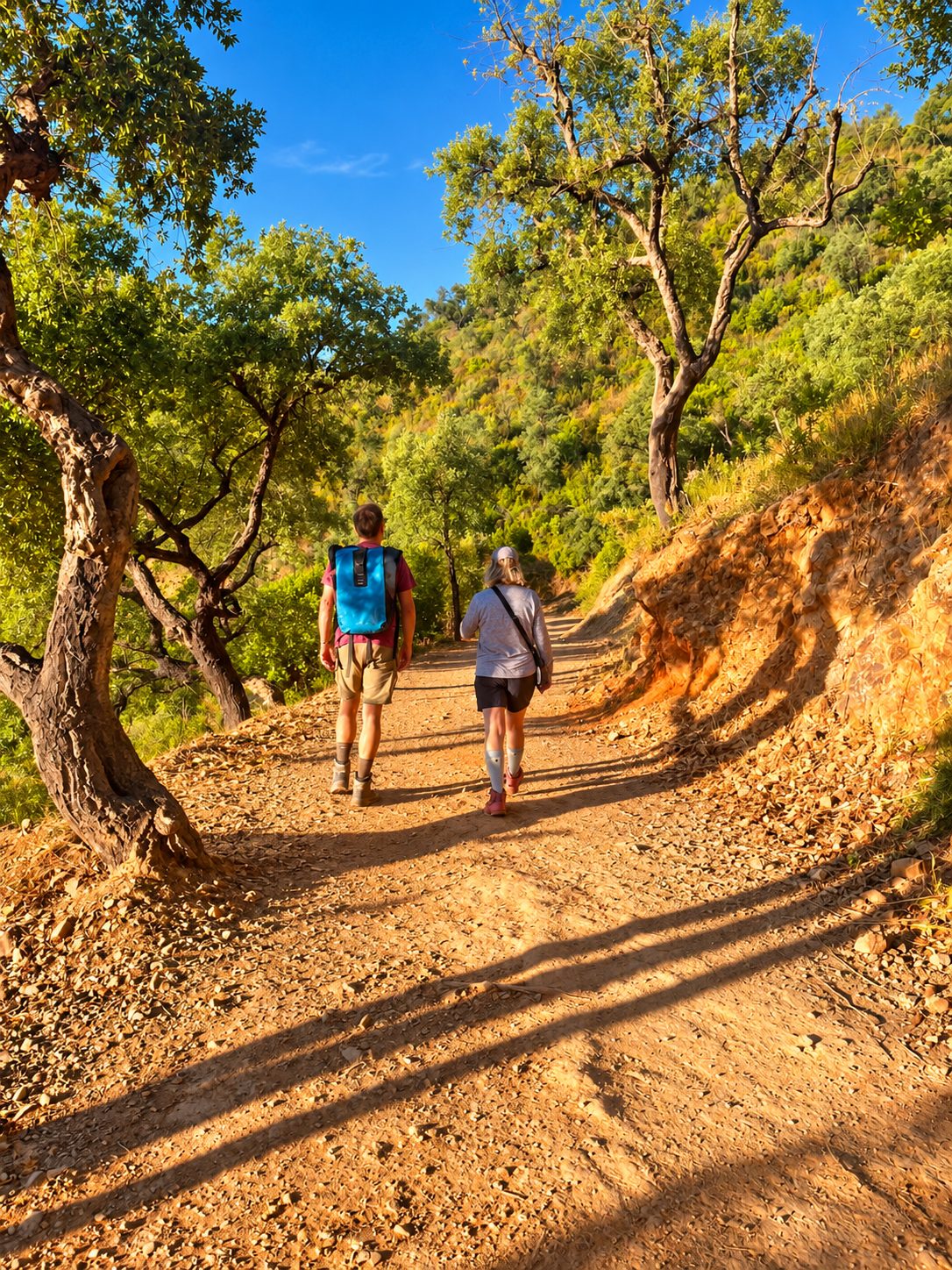 Wanderweg mit roter Erde zwischen Bäumen